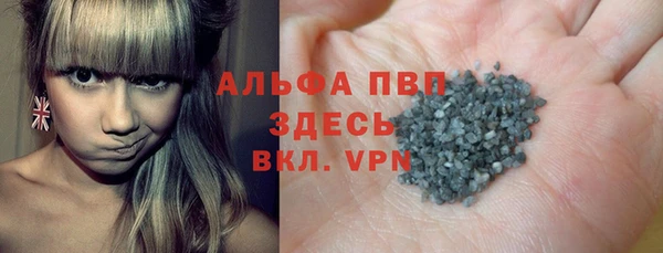 стафф Арсеньев