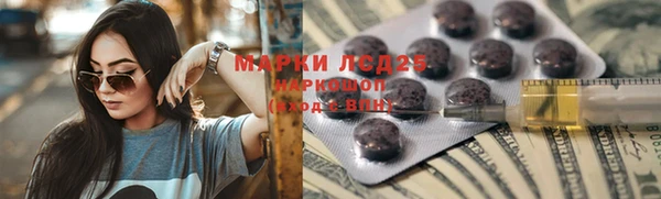 стафф Арсеньев