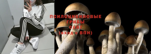 индика Армянск