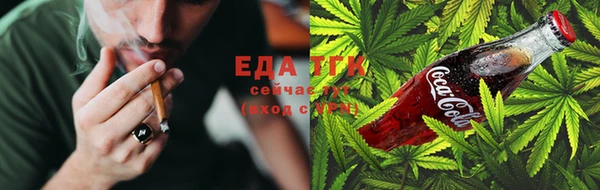 индика Армянск
