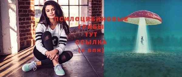 стафф Арсеньев